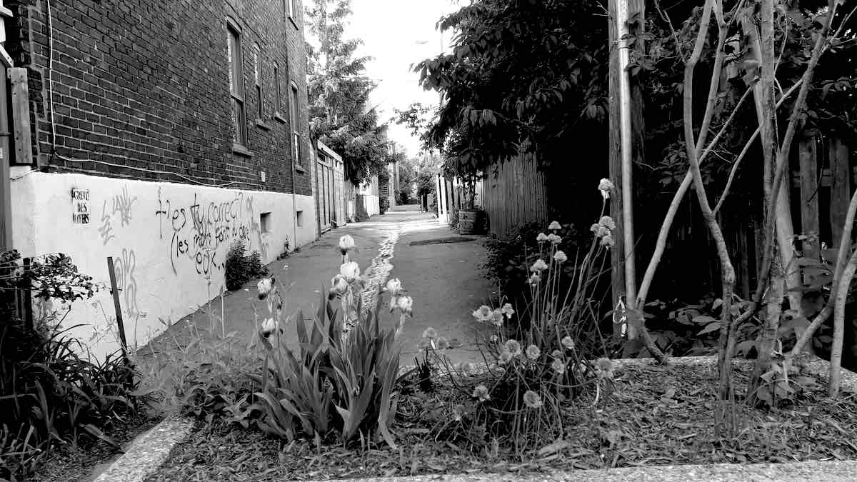 Exiliada por covid en Villeray: crónica de mi sobrevivencia en Montreal