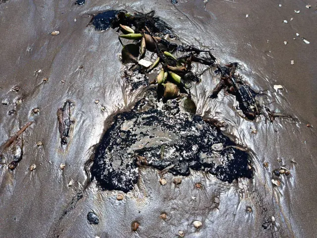 Conagua y SESVER monitorean calidad del agua en playas de Veracruz